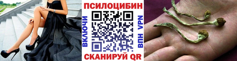 мориарти клад  Волжск  Псилоцибиновые грибы MAGIC MUSHROOMS 